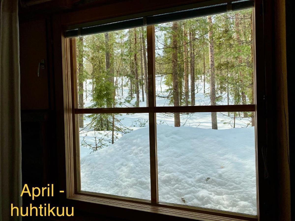 Lapland Lodge Pyhae Ski In, Sauna, Free Wifi, National Park - Lapland Villas Pyhätunturi Zewnętrze zdjęcie