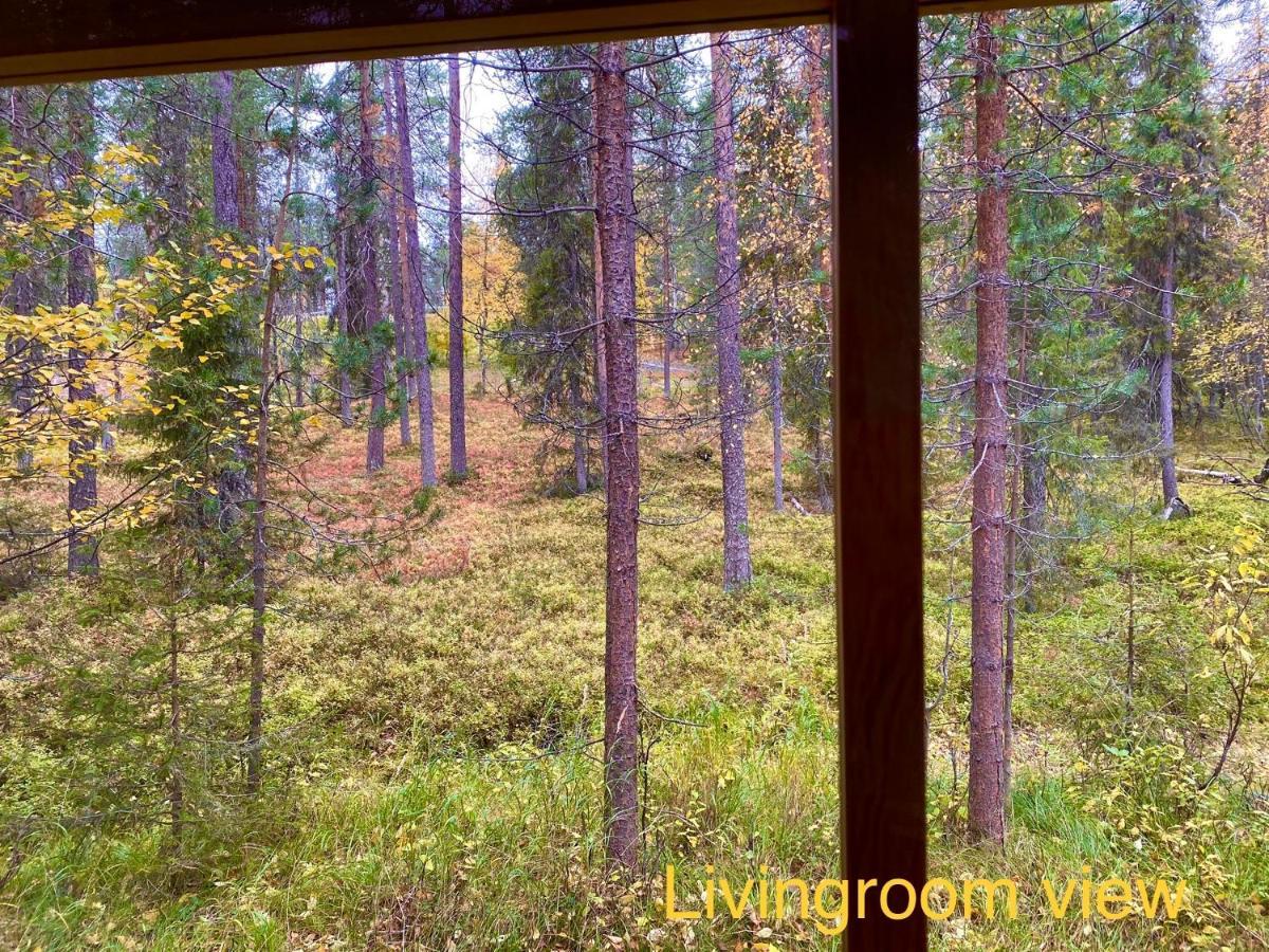 Lapland Lodge Pyhae Ski In, Sauna, Free Wifi, National Park - Lapland Villas Pyhätunturi Zewnętrze zdjęcie